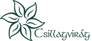 cropped-web_logo_new.png